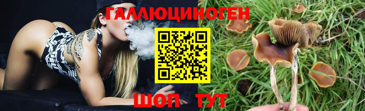 Псилоцибиновые грибы мухоморы  Вход с VPN  Кулебаки 