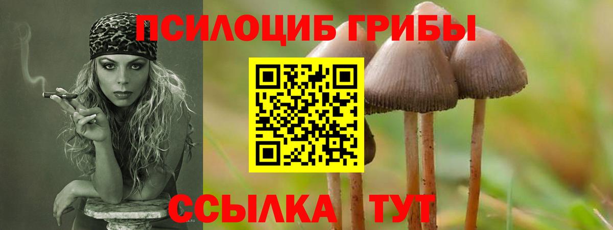Галлюциногенные грибы Magic Shrooms Кулебаки
